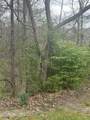  Mountain Grove Lane - Photo 2