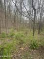  Mountain Grove Lane - Photo 8