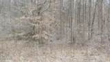 5.51ac Beaver Lane - Photo 11