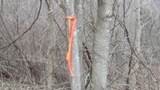 5.51ac Beaver Lane - Photo 19
