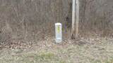 5.51ac Beaver Lane - Photo 26