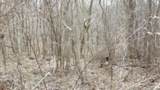 5.51ac Beaver Lane - Photo 3