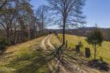100 Acres Sutton Hollow Rd - Photo 10