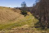 100 Acres Sutton Hollow Rd - Photo 19