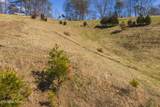 100 Acres Sutton Hollow Rd - Photo 20