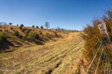 100 Acres Sutton Hollow Rd - Photo 33