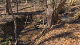 100 Acres Sutton Hollow Rd - Photo 41