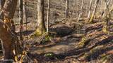 100 Acres Sutton Hollow Rd - Photo 42