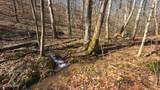 100 Acres Sutton Hollow Rd - Photo 43