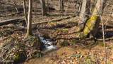 100 Acres Sutton Hollow Rd - Photo 44