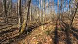 100 Acres Sutton Hollow Rd - Photo 45