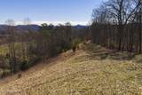 50 Acres Sutton Hollow Rd - Photo 10