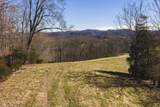 50 Acres Sutton Hollow Rd - Photo 11