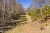 50 Acres Sutton Hollow Rd - Photo 13