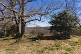 50 Acres Sutton Hollow Rd - Photo 8