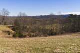 50 Acres Sutton Hollow Rd - Photo 9