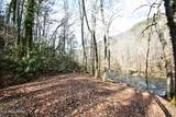 Twin Pines Way - Photo 10