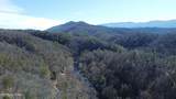  Twin Pines Way - Photo 5