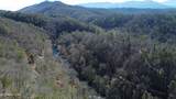  Twin Pines Way - Photo 6