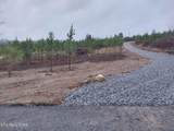 339 Big Sewee Rd - Photo 2