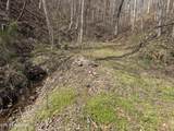  War Creek Rd - Photo 10