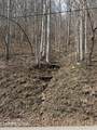  War Creek Rd - Photo 14