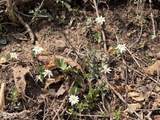  War Creek Rd - Photo 18