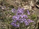  War Creek Rd - Photo 19