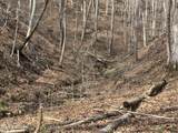  War Creek Rd - Photo 20
