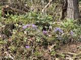  War Creek Rd - Photo 21