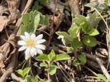  War Creek Rd - Photo 22
