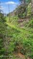  Wears Valley Rd - Photo 25