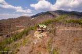 1184 Fawn Hollow Tr - Photo 54