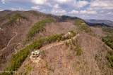 1184 Fawn Hollow Tr - Photo 55