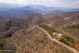 1184 Fawn Hollow Tr - Photo 56