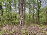 Lot 76&77 Polly Mountain Rd - Photo 15