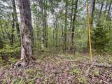 Lot 76&77 Polly Mountain Rd - Photo 4