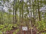Lot 76&77 Polly Mountain Rd - Photo 9