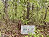Lot 71&72 Polly Mountain Rd - Photo 2