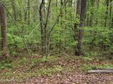 Lot 71&72 Polly Mountain Rd - Photo 3