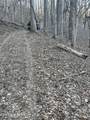0 Back Bone Rd - Photo 11
