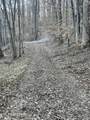0 Back Bone Rd - Photo 12