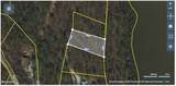 0 Back Bone Rd - Photo 4