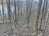0 Back Bone Rd - Photo 6