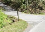 Lot 925 Silver Poplar Lane - Photo 4