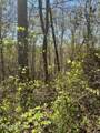 lot 27 Jones Ridge Rd - Photo 2