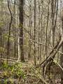 lot 28 Jones Ridge Rd - Photo 4