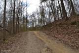 10.79ac S/O Buffalo Rd Rd - Photo 11