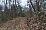 10.79ac S/O Buffalo Rd Rd - Photo 12