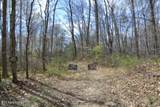 10.79ac S/O Buffalo Rd Rd - Photo 2